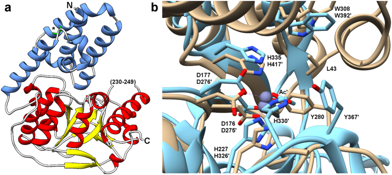 Figure 13