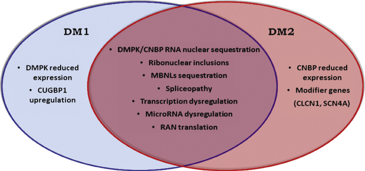 Fig.2