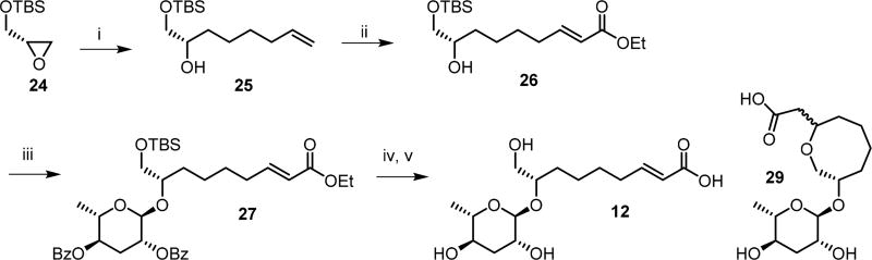 Scheme 4