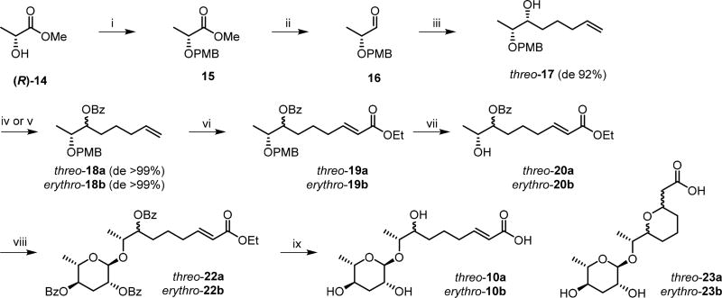 Scheme 3