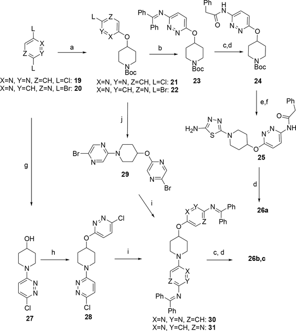 Scheme 4.