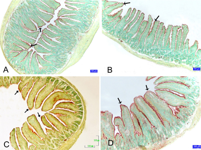 Figure 1. A–D