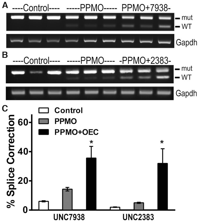 Figure 6.