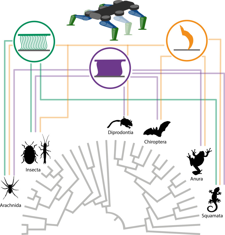 Figure 10