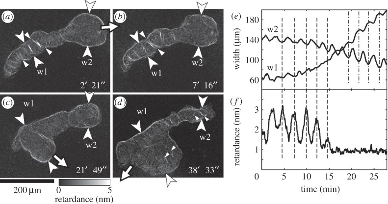 Figure 7.