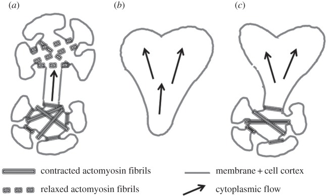 Figure 1.