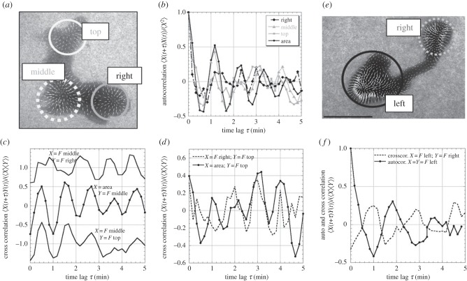 Figure 4.