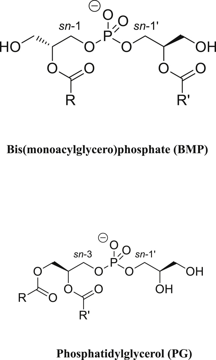 Fig. 1