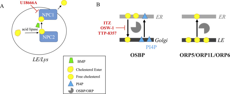 Fig. 3