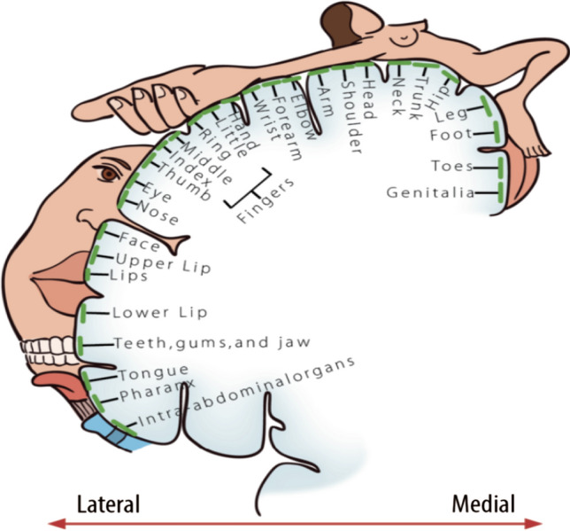 Fig. 5