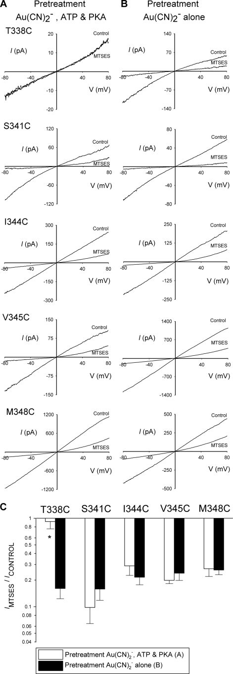 FIGURE 7.