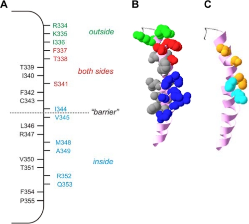 FIGURE 9.