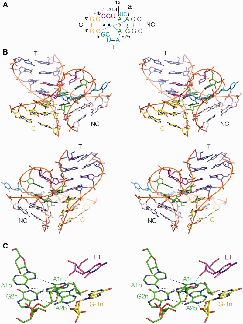 Figure 3.