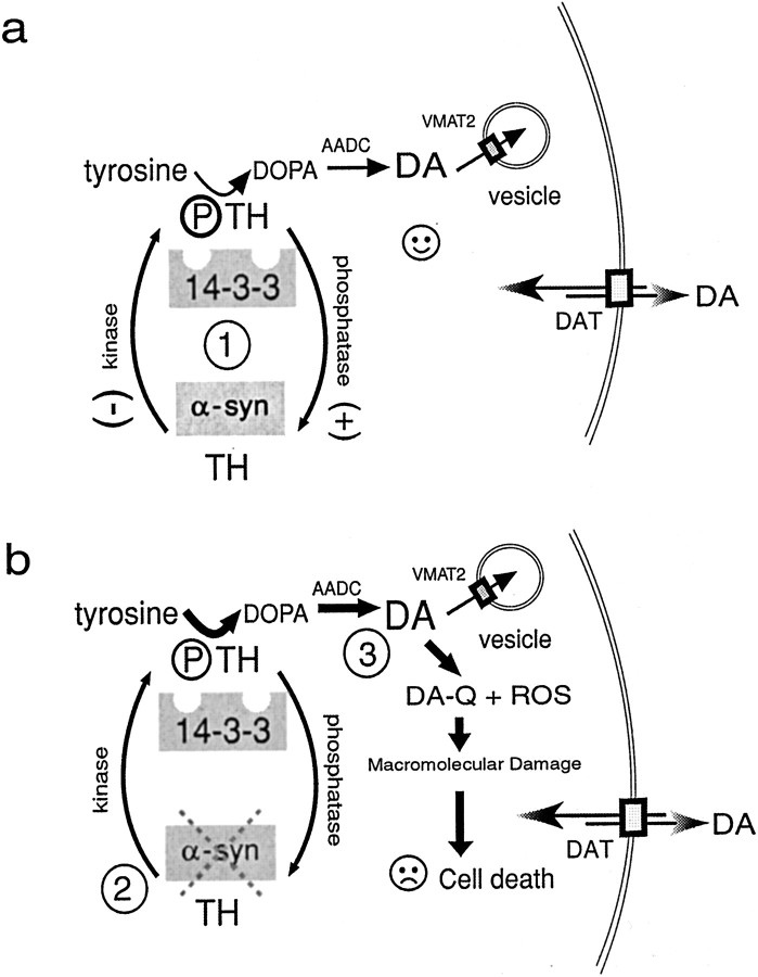 Fig. 8.