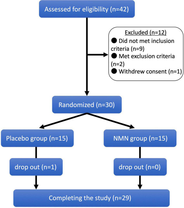 FIGURE 1