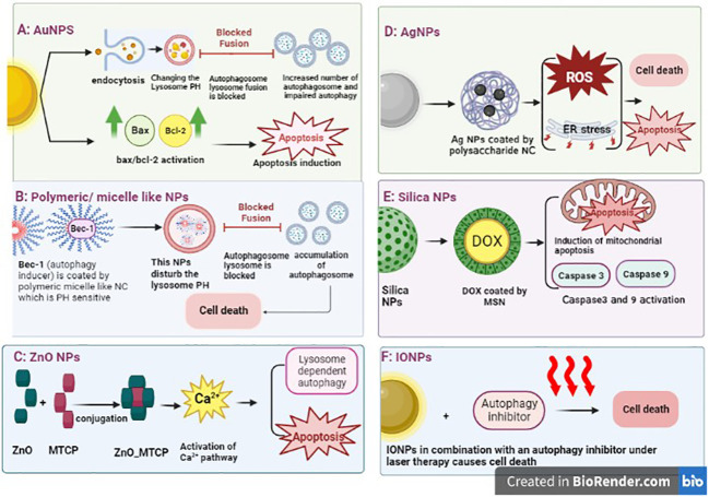 Figure 4