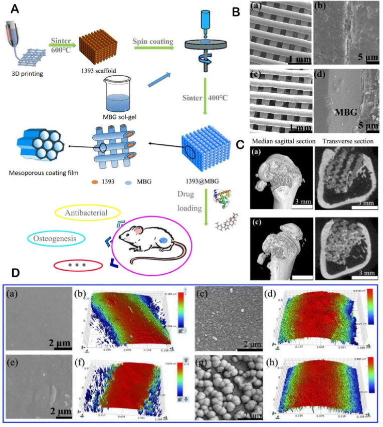 Fig. 10