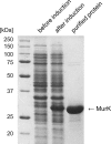 Fig. 2.