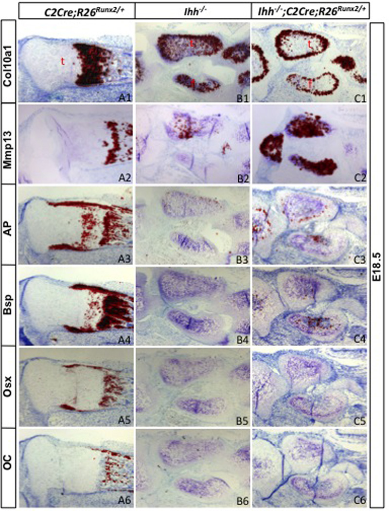 Fig. 6