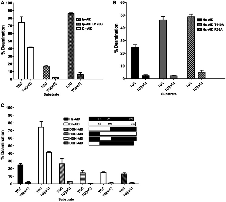 Figure 6.