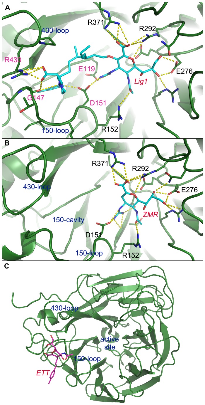 Figure 10