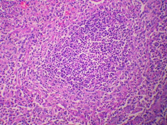 Fig. 3