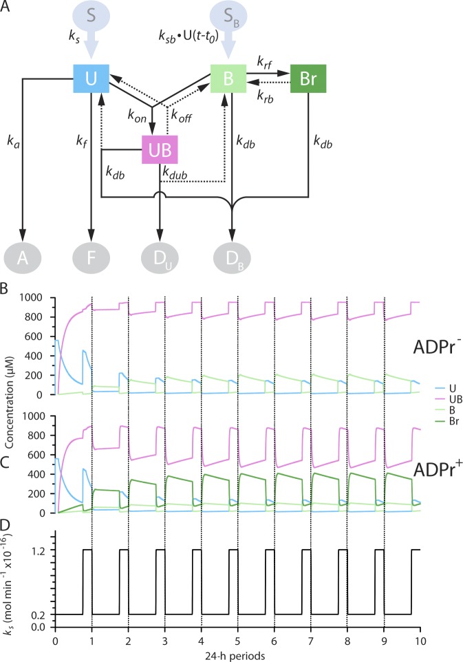 Figure 7.