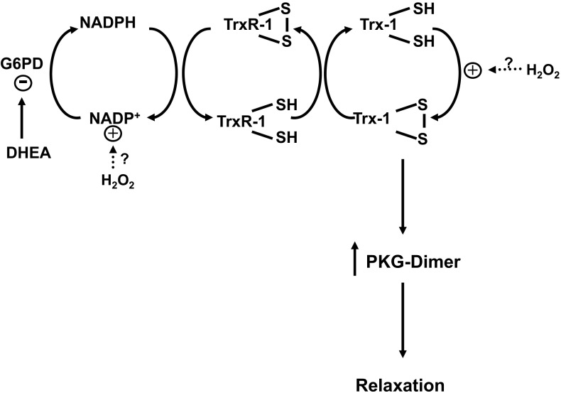 Fig. 8.