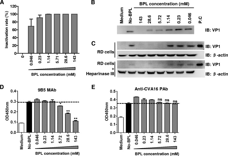 FIG 8