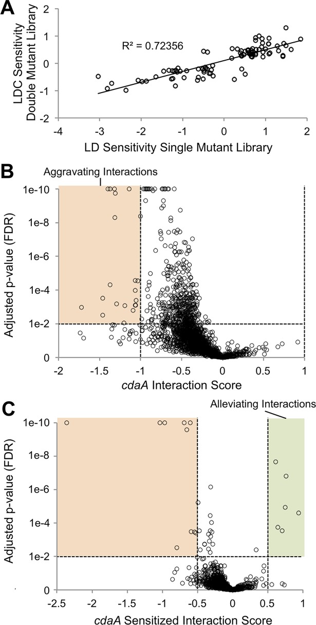 Fig 4