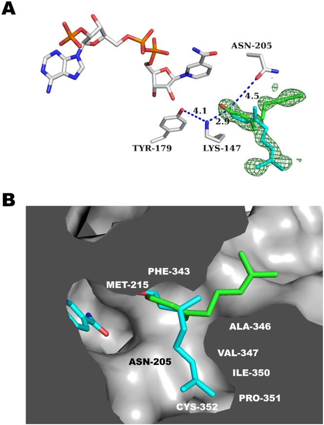 Figure 5