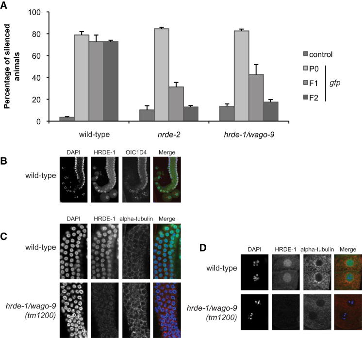 Figure 2