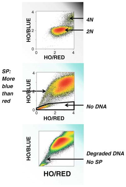 Fig. 8