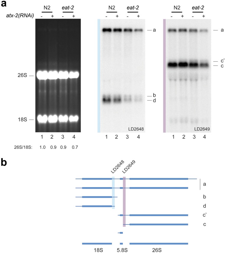 Fig. S6.