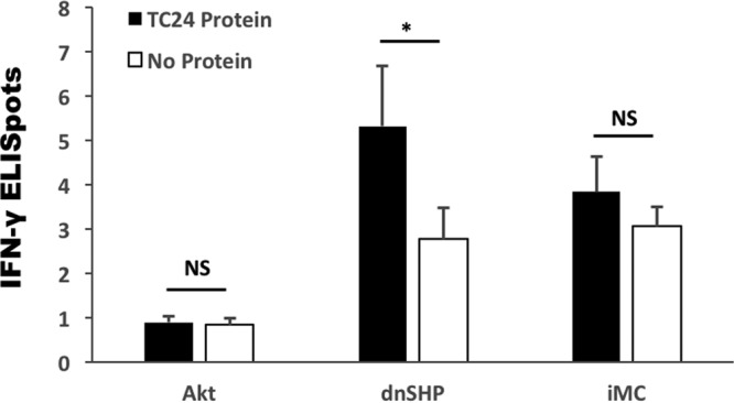 FIG 2