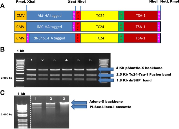 FIG 1