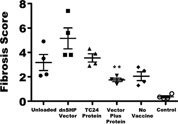 FIG 6