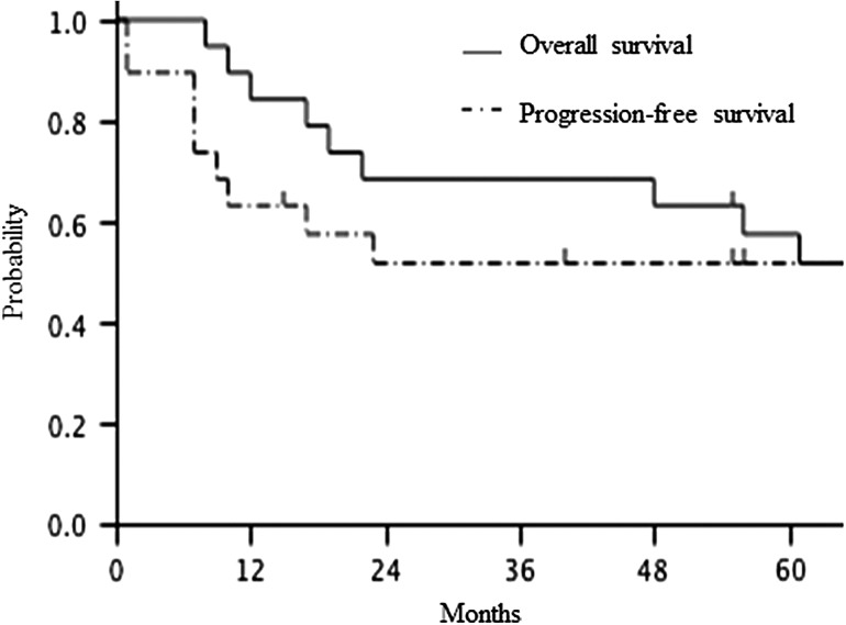 Fig. 2.