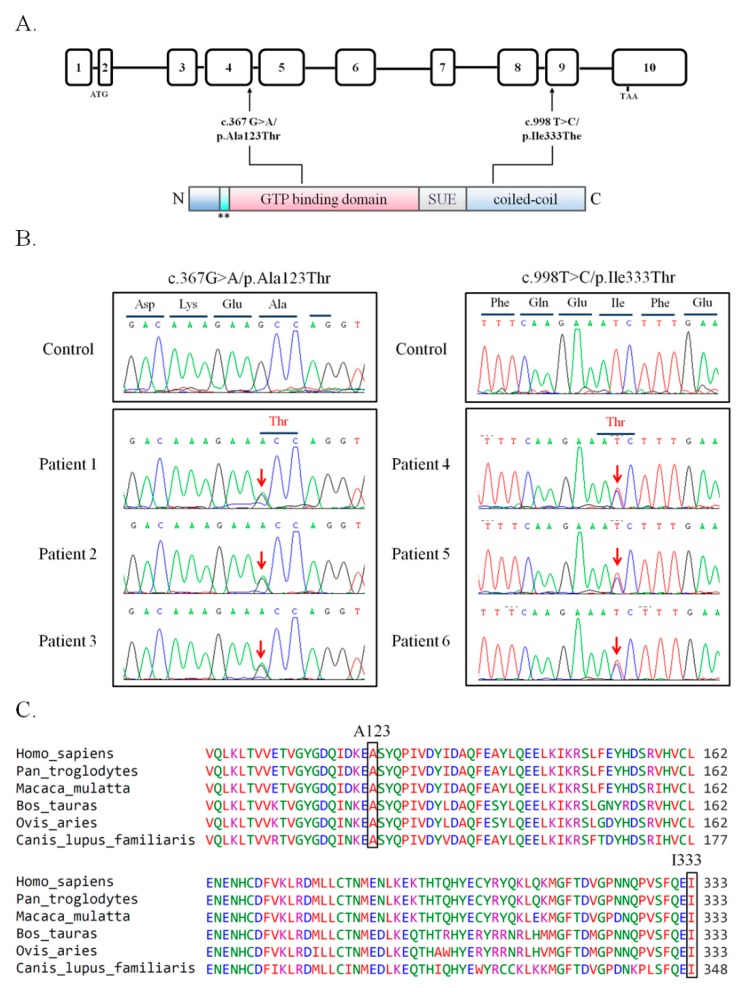 Figure 1