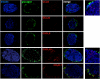 FIG. 4.