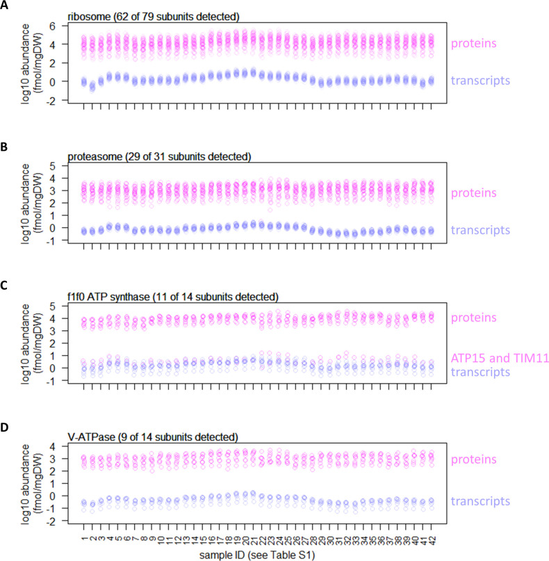 Figure 1—figure supplement 2.