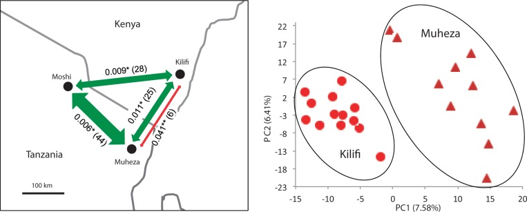 Fig. 6.