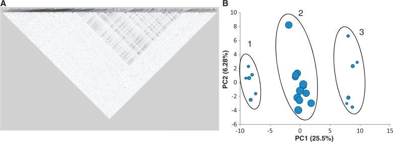 Fig. 3.