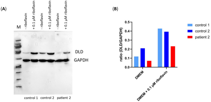 FIGURE 1