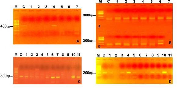 Fig. 2: