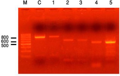 Fig. 1: