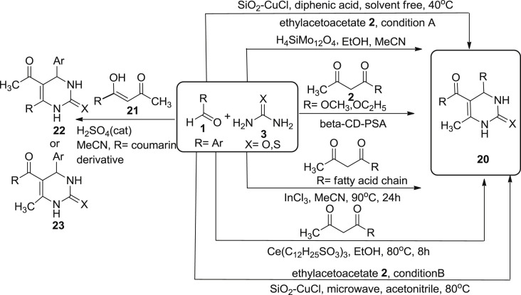 Scheme 3