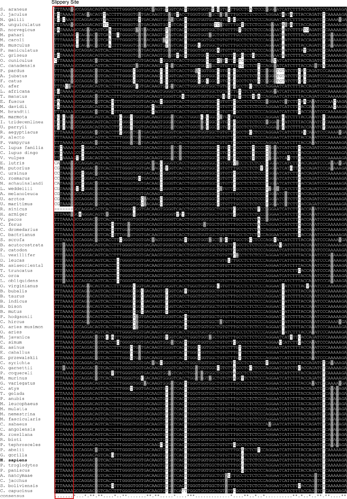 Extended Figure 1: