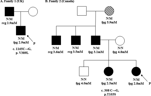 FIGURE 1.