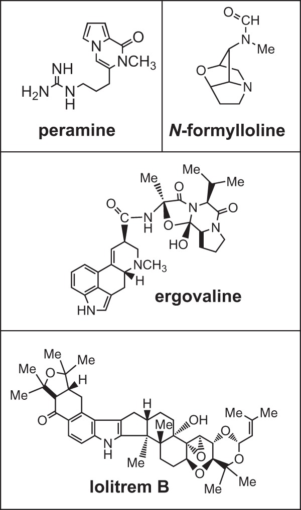 FIG 1